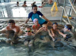 Příměstský tábor s plaváním | Rodinné centrum Amálka